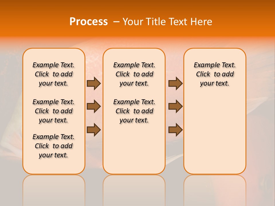 Symphysodon Display Pterophyllum PowerPoint Template