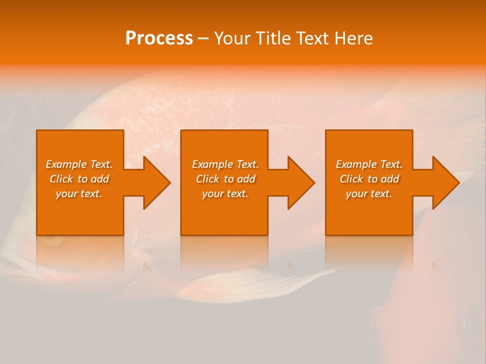 Symphysodon Display Pterophyllum PowerPoint Template