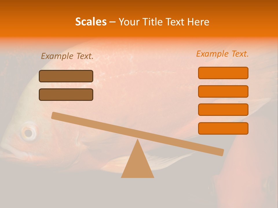 Symphysodon Display Pterophyllum PowerPoint Template