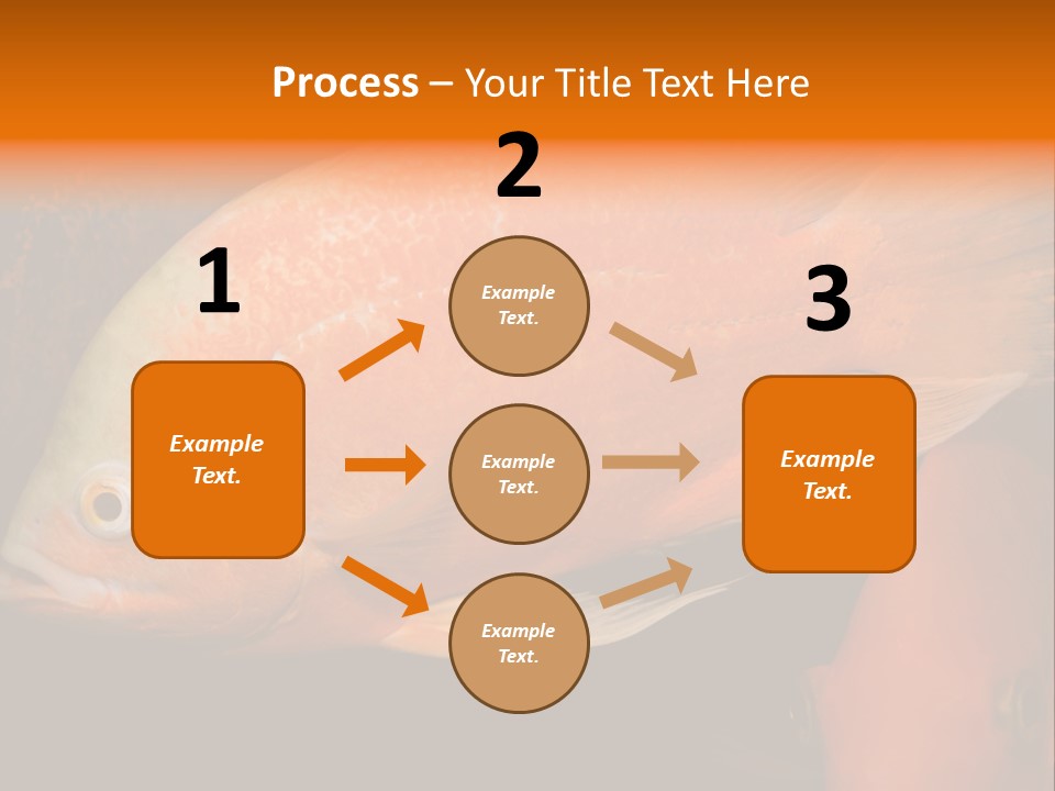 Symphysodon Display Pterophyllum PowerPoint Template