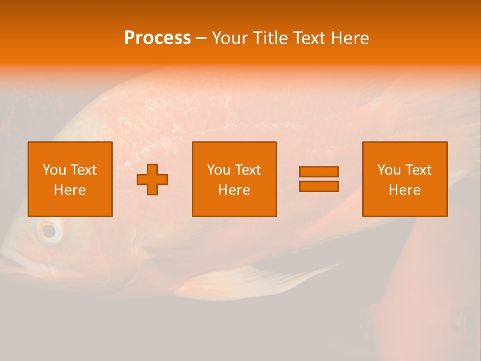 Symphysodon Display Pterophyllum PowerPoint Template