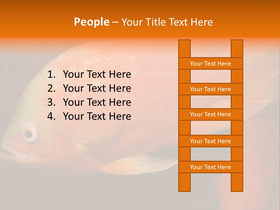 Symphysodon Display Pterophyllum PowerPoint Template