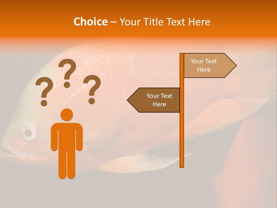 Symphysodon Display Pterophyllum PowerPoint Template