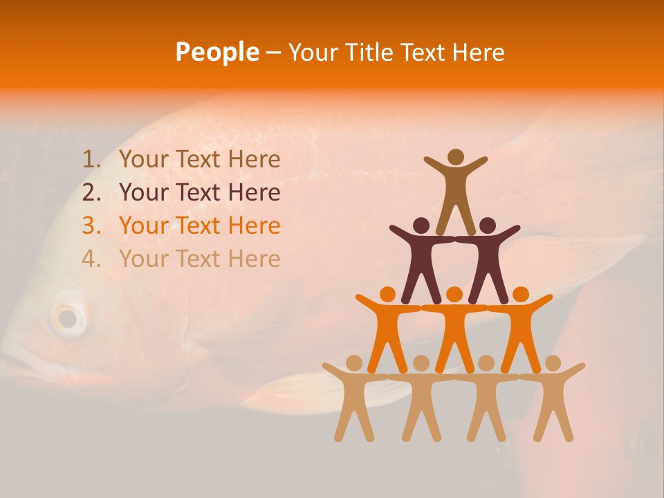 Symphysodon Display Pterophyllum PowerPoint Template