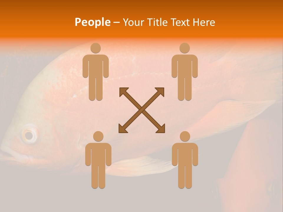 Symphysodon Display Pterophyllum PowerPoint Template