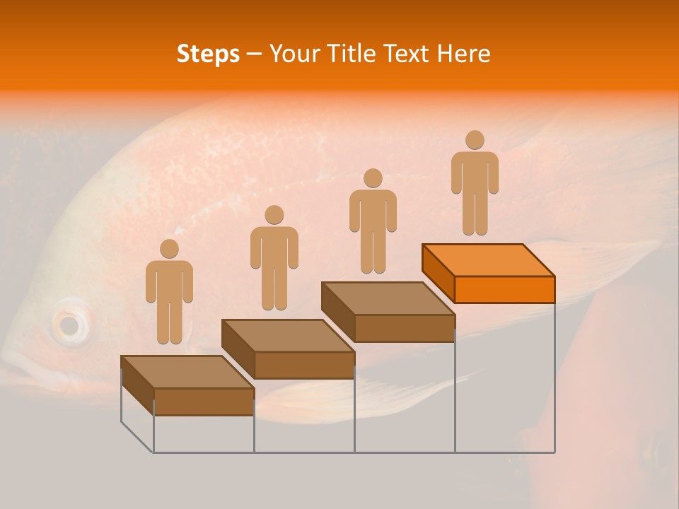 Symphysodon Display Pterophyllum PowerPoint Template