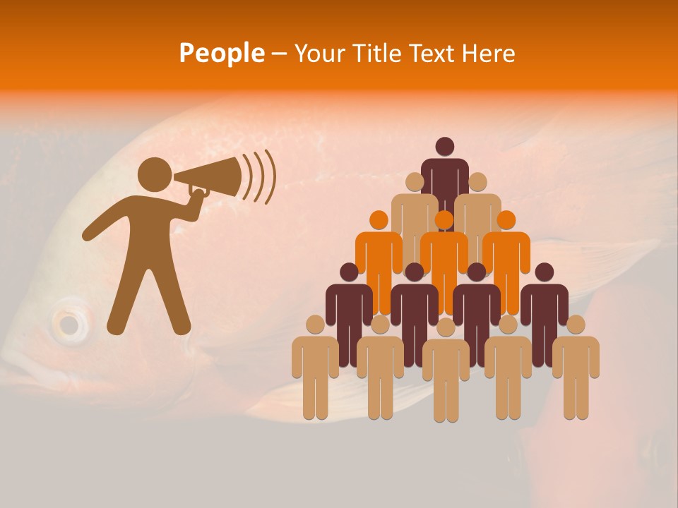 Symphysodon Display Pterophyllum PowerPoint Template