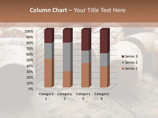 Brown Cap Wine PowerPoint Template