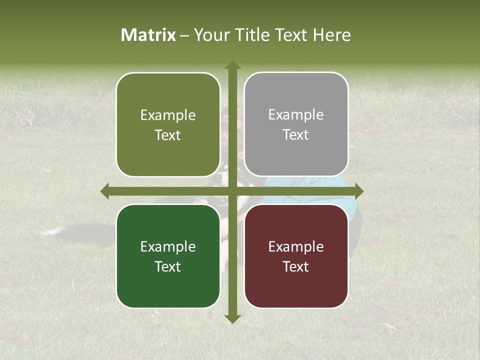 Male Romance Blossom PowerPoint Template