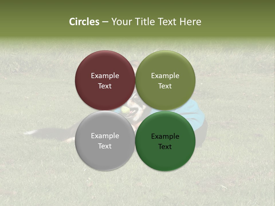 Male Romance Blossom PowerPoint Template