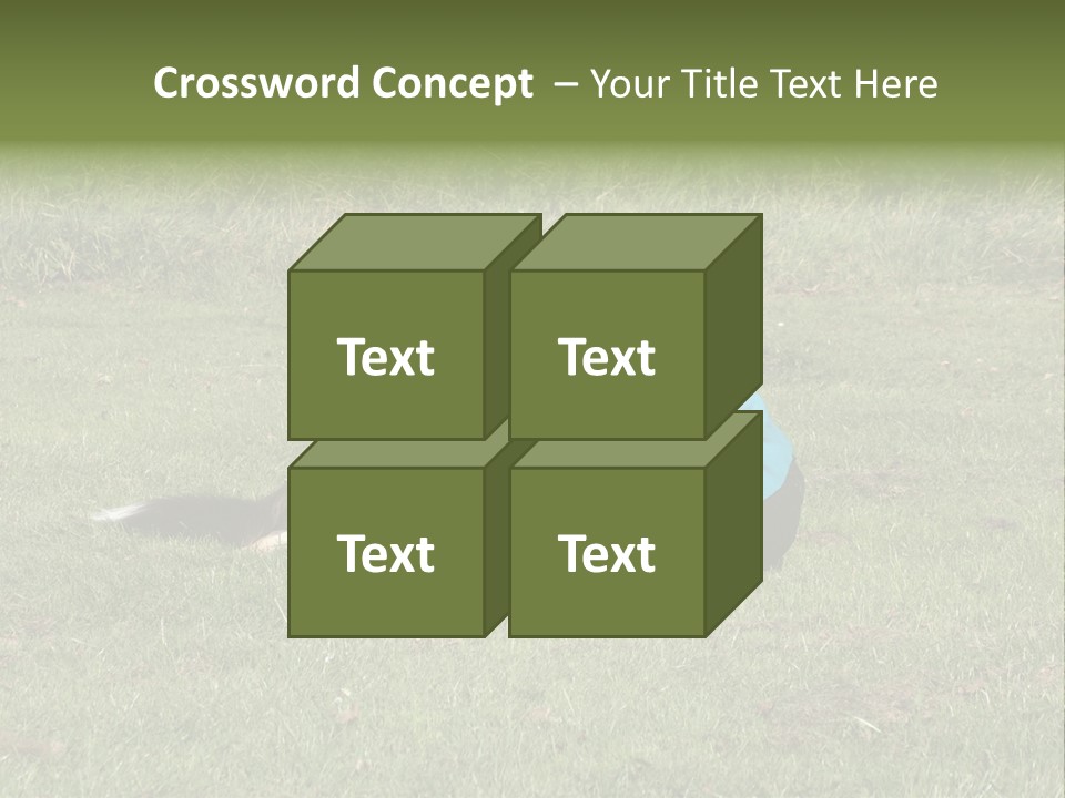 Male Romance Blossom PowerPoint Template