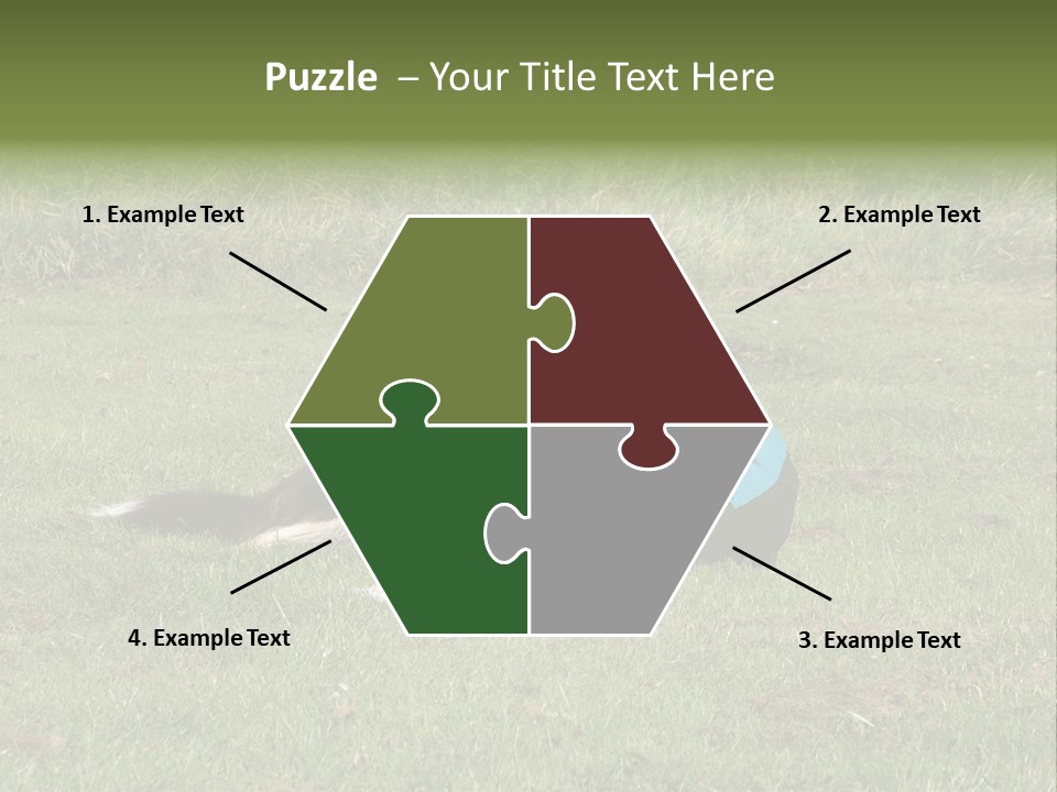 Male Romance Blossom PowerPoint Template