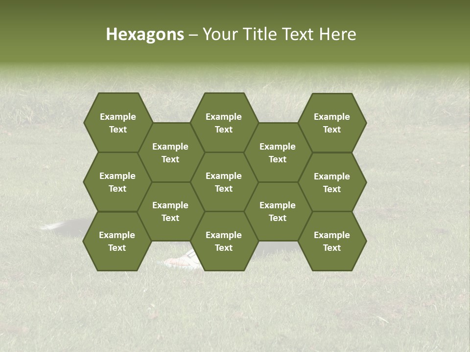 Male Romance Blossom PowerPoint Template