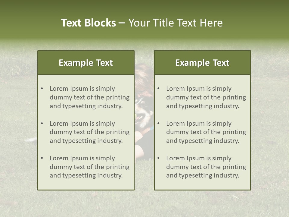 Male Romance Blossom PowerPoint Template