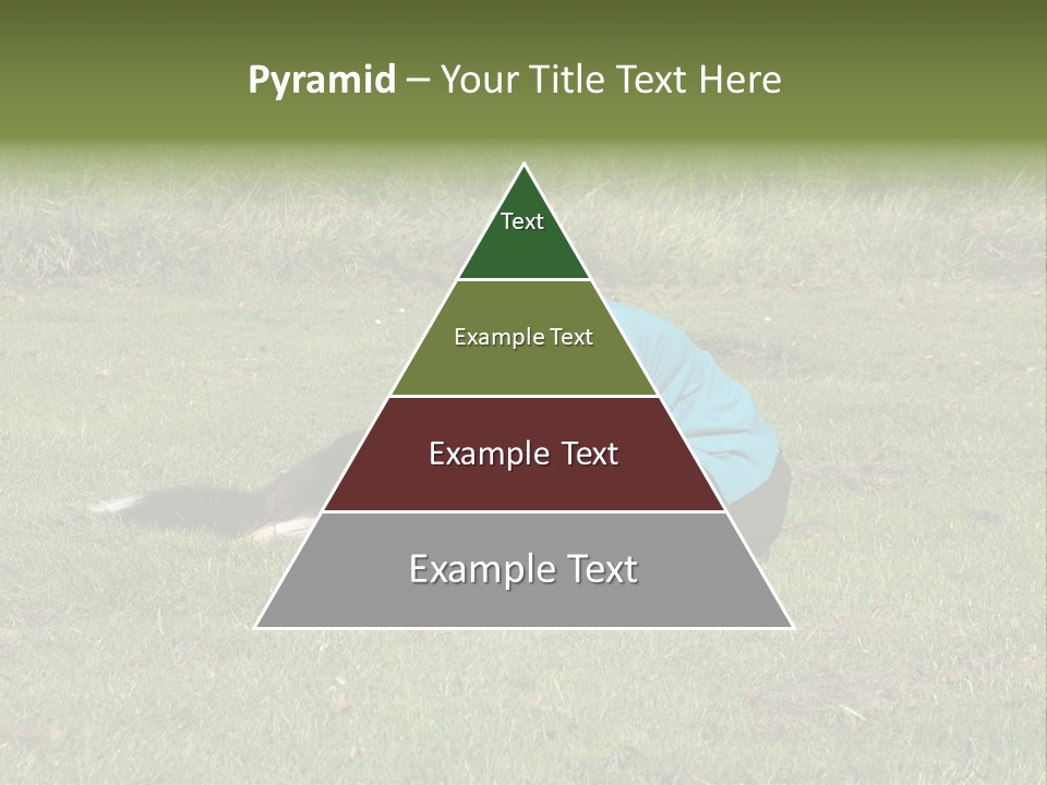 Male Romance Blossom PowerPoint Template