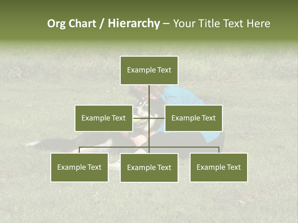 Male Romance Blossom PowerPoint Template