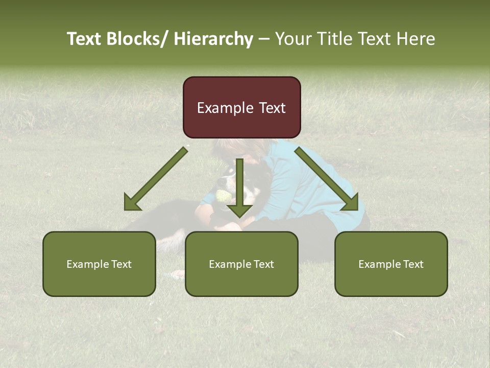 Male Romance Blossom PowerPoint Template