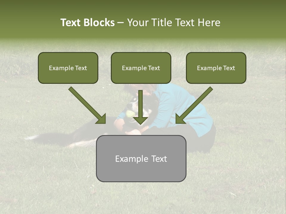Male Romance Blossom PowerPoint Template