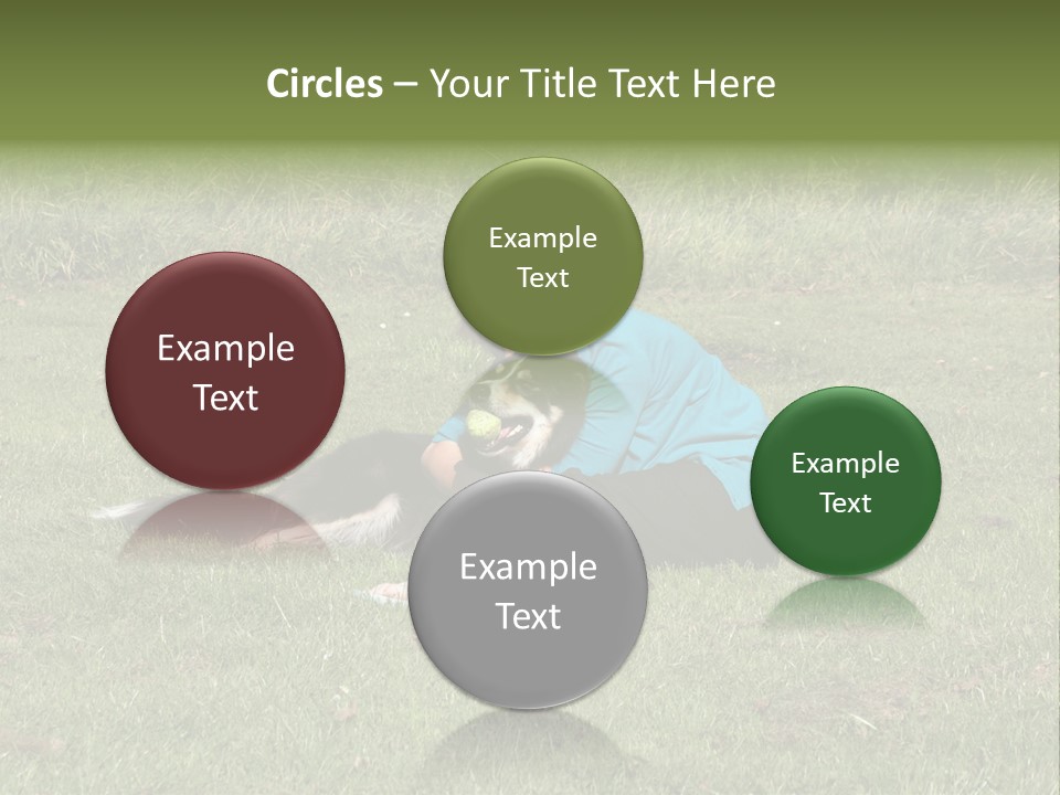 Male Romance Blossom PowerPoint Template