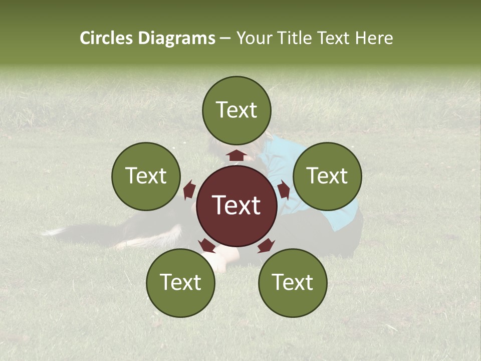 Male Romance Blossom PowerPoint Template