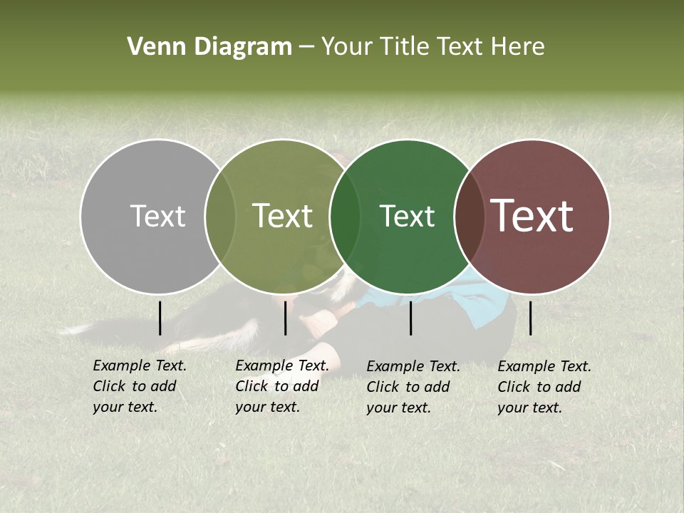 Male Romance Blossom PowerPoint Template