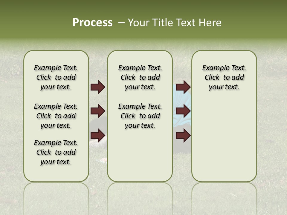 Male Romance Blossom PowerPoint Template