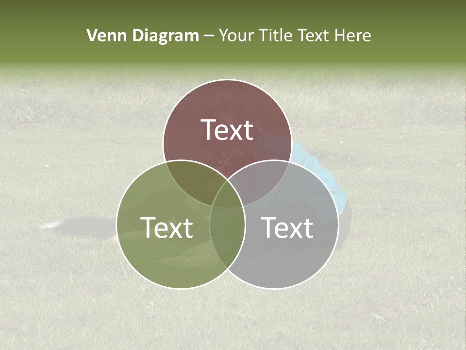 Male Romance Blossom PowerPoint Template