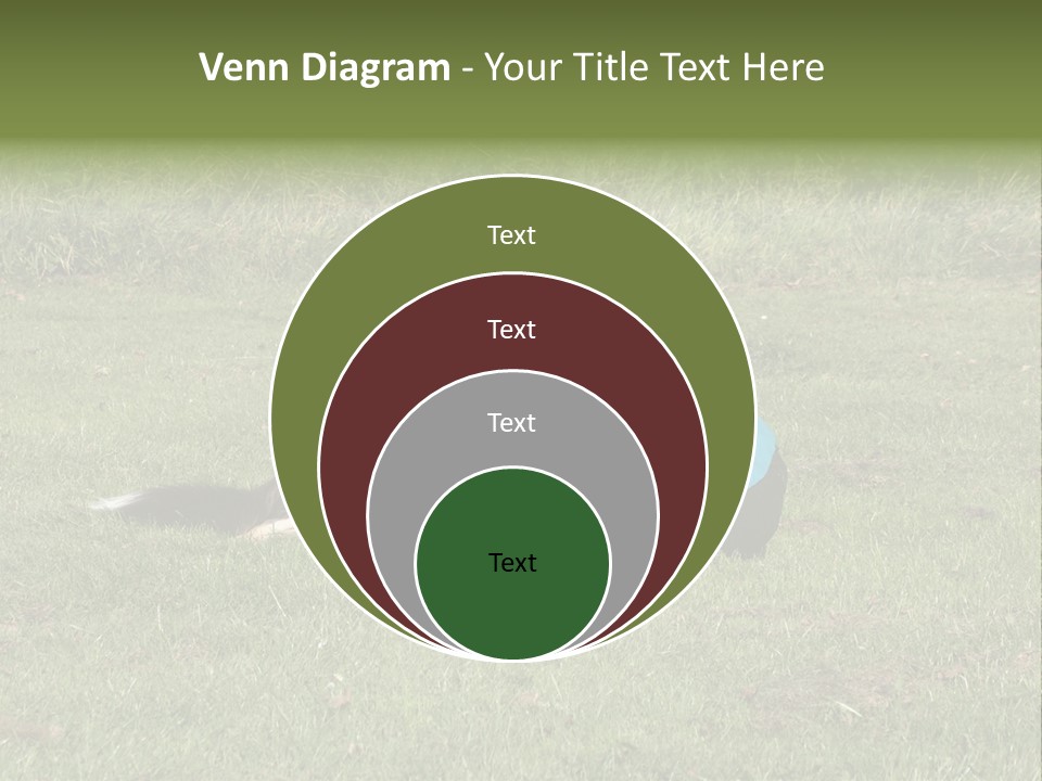 Male Romance Blossom PowerPoint Template