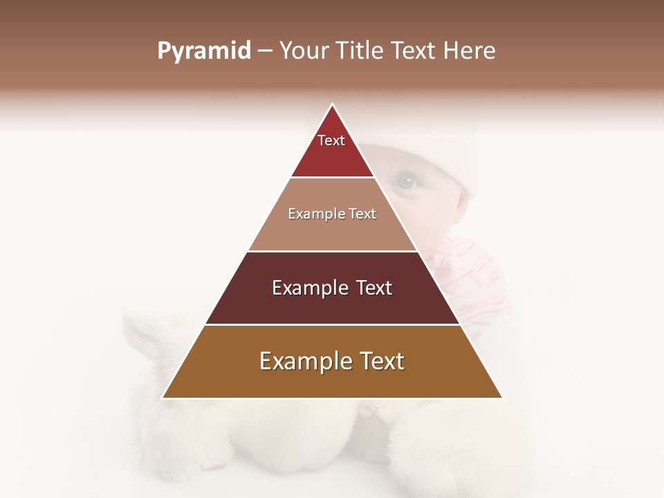 Love Pink Rabbit PowerPoint Template