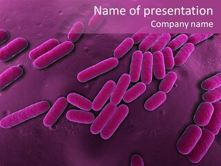 Sem Human Hiv PowerPoint Template