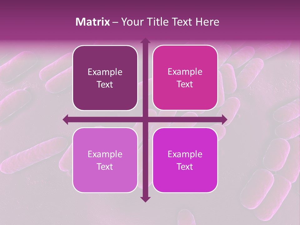 Sem Human Hiv PowerPoint Template