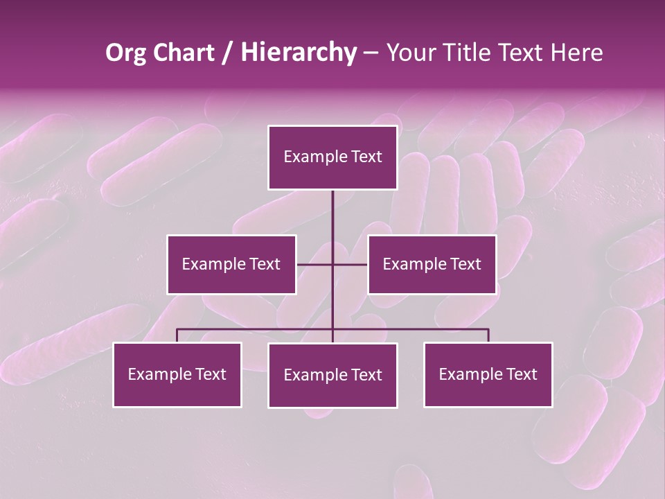 Sem Human Hiv PowerPoint Template