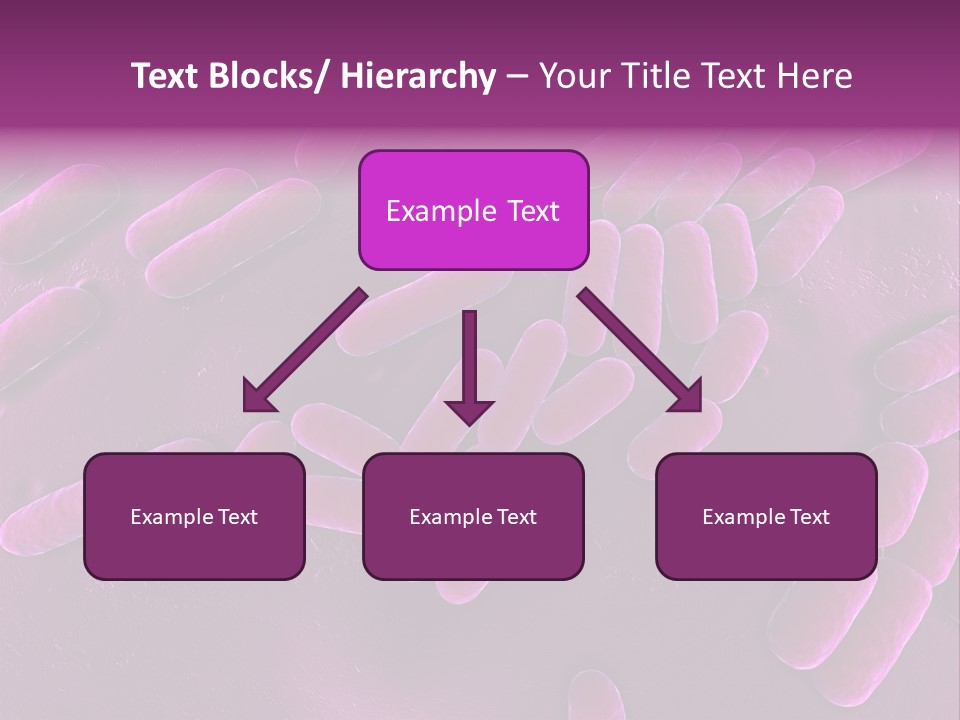 Sem Human Hiv PowerPoint Template
