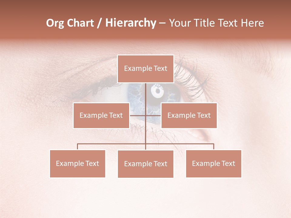 Map Lost Topography PowerPoint Template