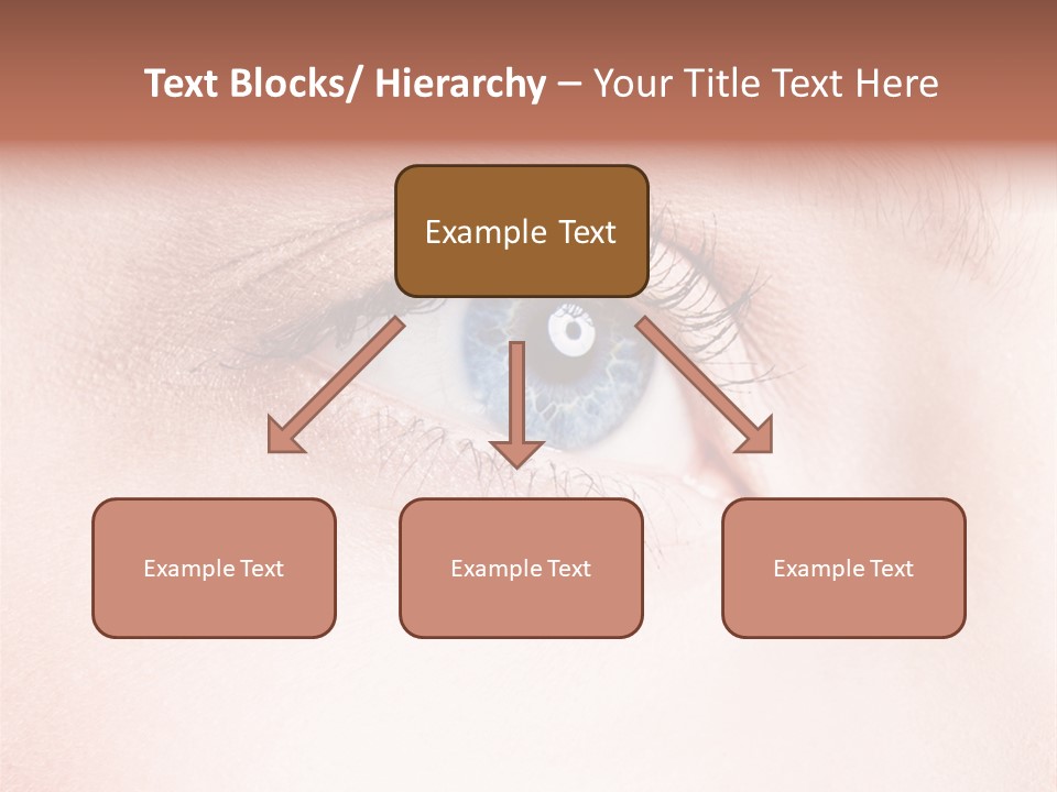 Map Lost Topography PowerPoint Template