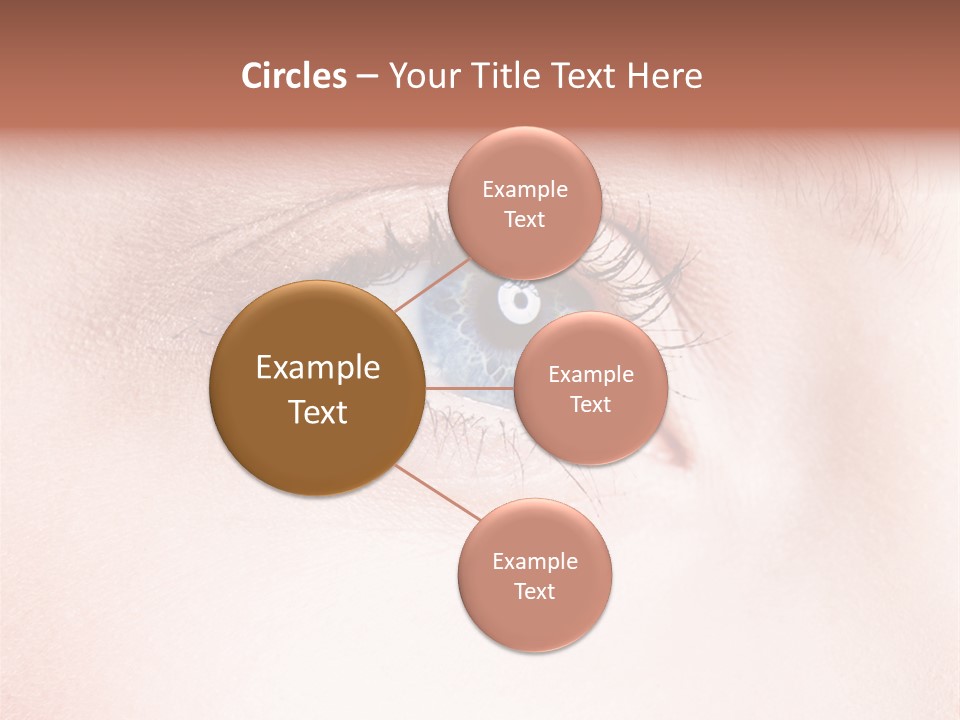 Map Lost Topography PowerPoint Template
