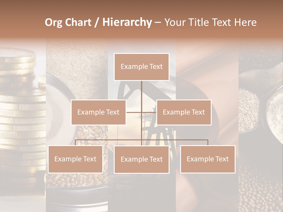 Food Meal Grains PowerPoint Template