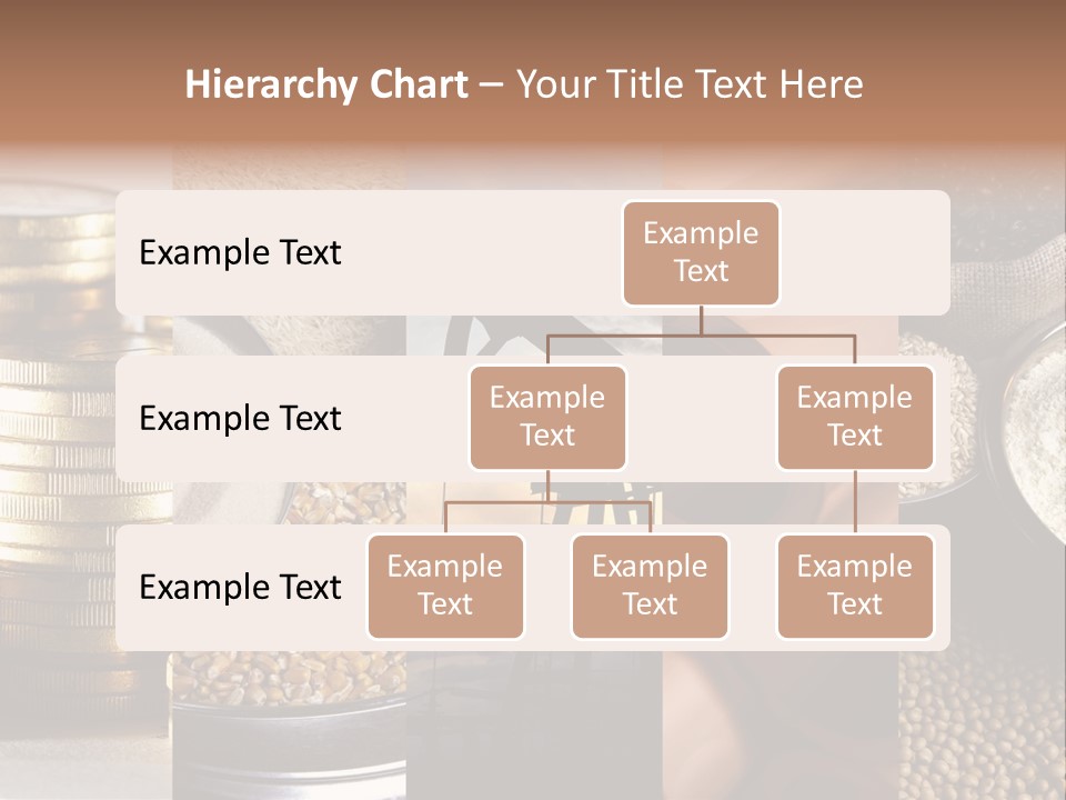 Food Meal Grains PowerPoint Template