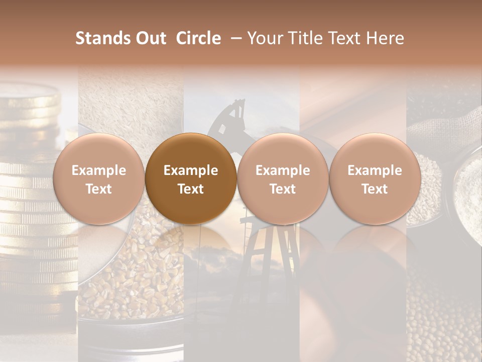 Food Meal Grains PowerPoint Template