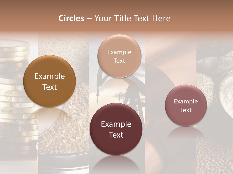 Food Meal Grains PowerPoint Template