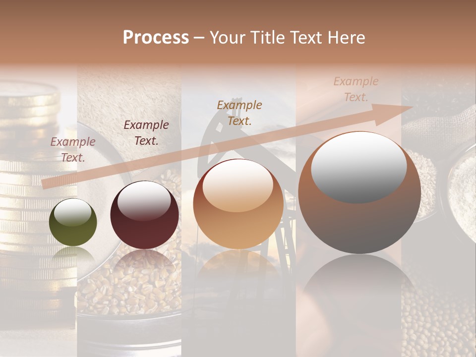 Food Meal Grains PowerPoint Template
