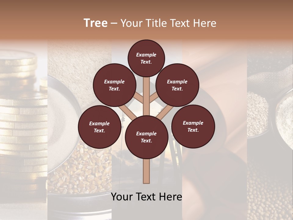 Food Meal Grains PowerPoint Template