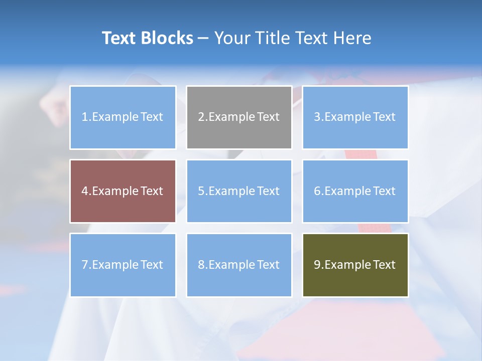 A Person In A Karate Stance With A Red Belt PowerPoint Template