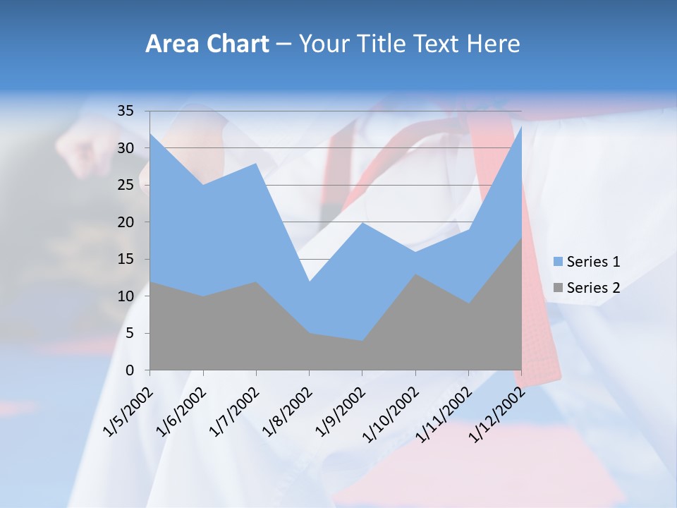 A Person In A Karate Stance With A Red Belt PowerPoint Template