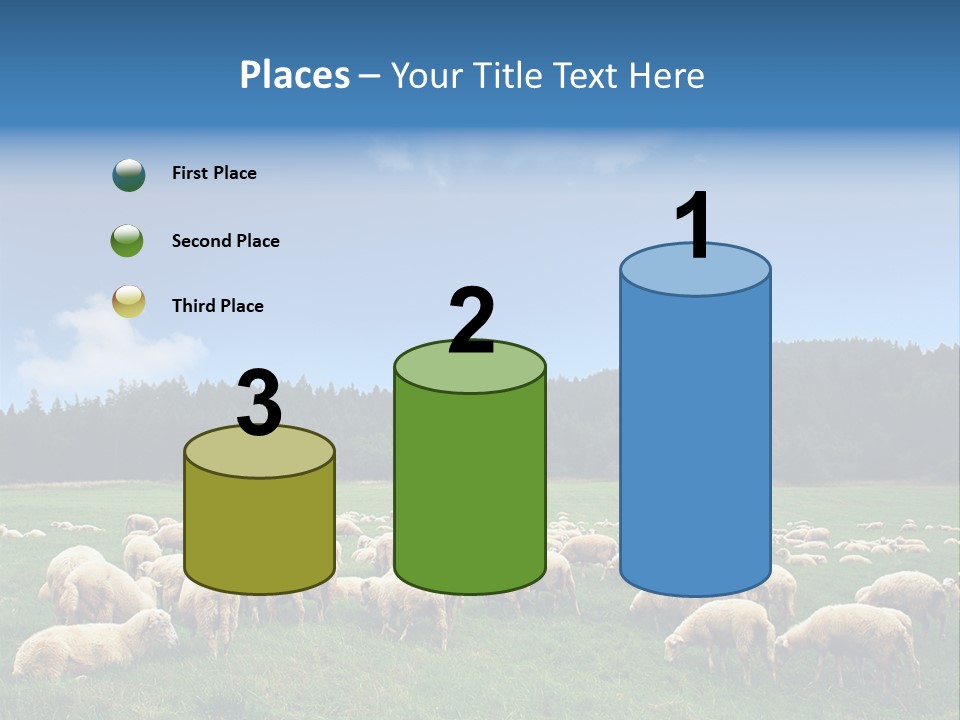 A Herd Of Sheep Grazing On A Lush Green Field PowerPoint Template