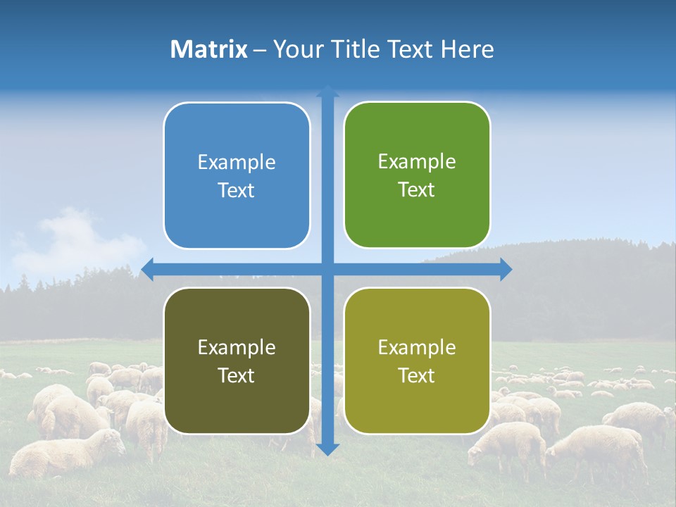 A Herd Of Sheep Grazing On A Lush Green Field PowerPoint Template