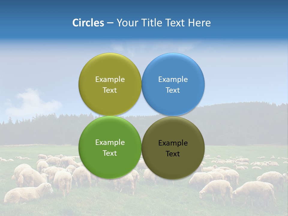 A Herd Of Sheep Grazing On A Lush Green Field PowerPoint Template