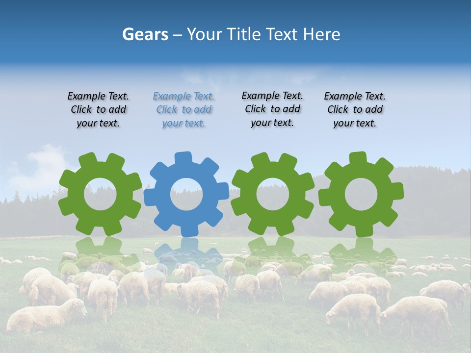 A Herd Of Sheep Grazing On A Lush Green Field PowerPoint Template