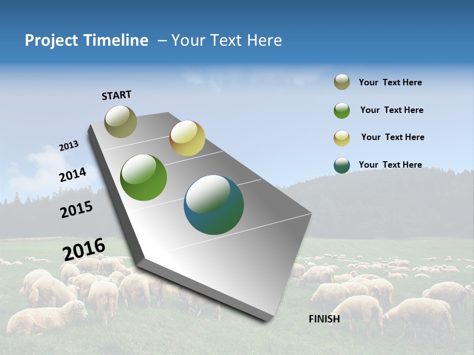 A Herd Of Sheep Grazing On A Lush Green Field PowerPoint Template