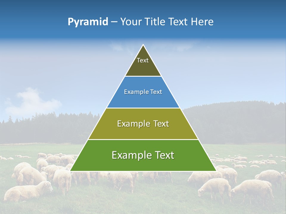 A Herd Of Sheep Grazing On A Lush Green Field PowerPoint Template